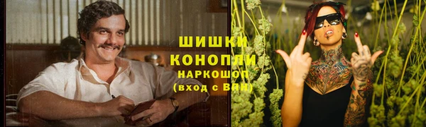 не бодяженный Белокуриха