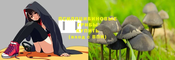 не бодяженный Белокуриха