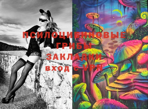 не бодяженный Белокуриха