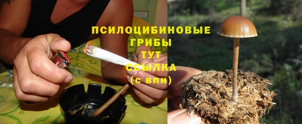 первитин Белоозёрский
