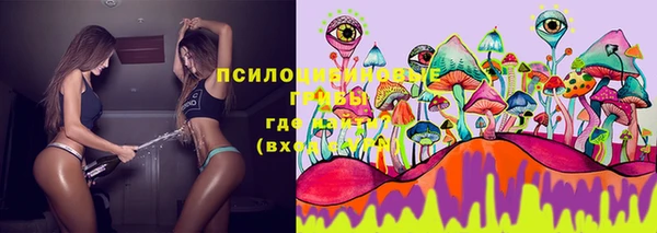 не бодяженный Белокуриха